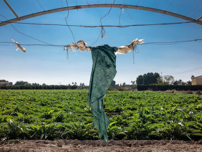 Une photo d'un évantail réalisée par l'artiste alicantine Cristina de Middel