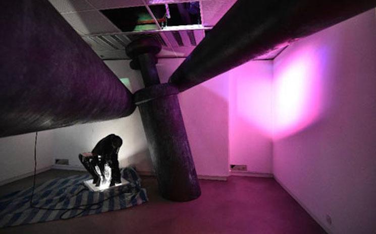 Sorties Hong Kong Avril 2019