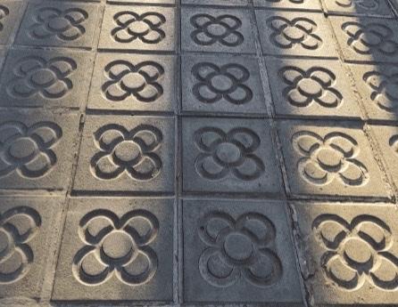 Photo de pavés barcelonais ayant la fleur de panot