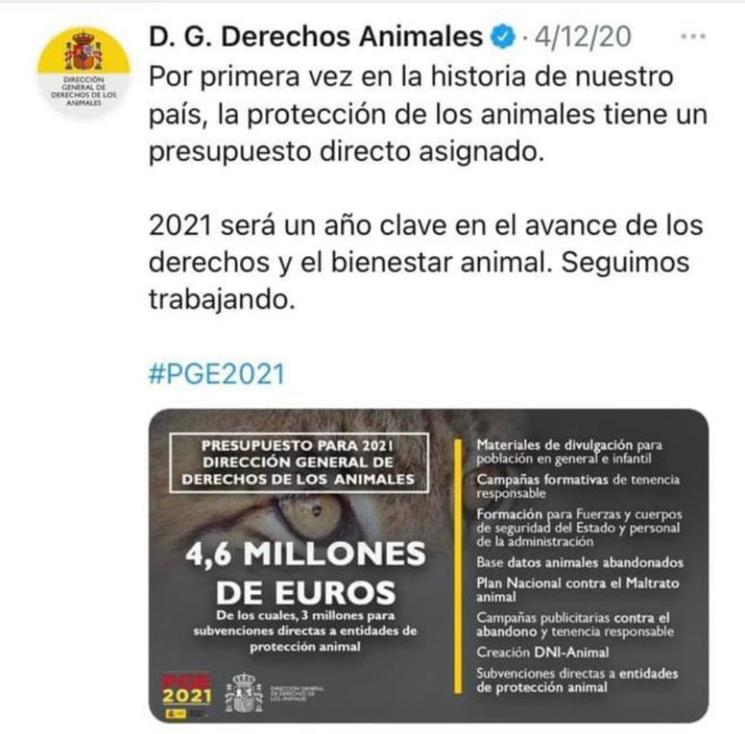 Derechos Animales
