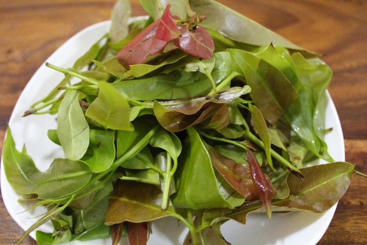 Feuilles prêtes à consommer (photo : Pascal Médeville)