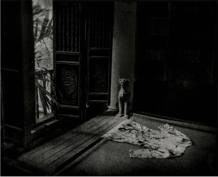 Flore Phnom Penh Photo festival 2021