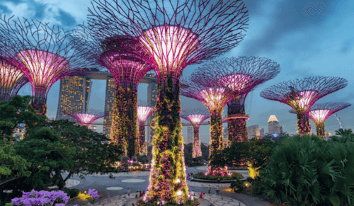 gardens by the bay