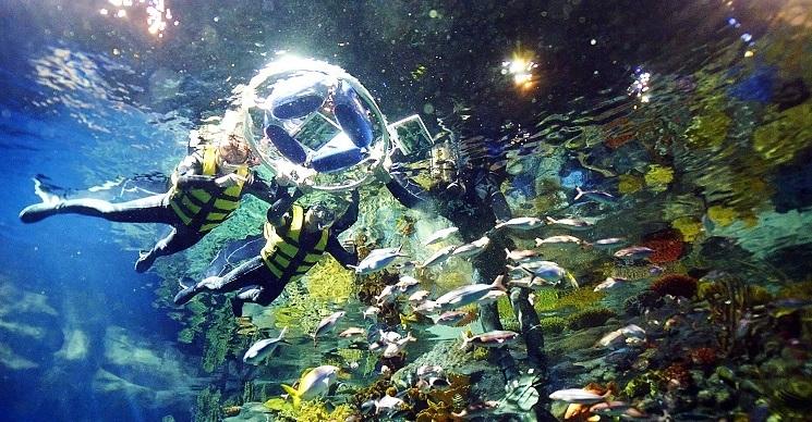 MTR Hong Kong South Island Line