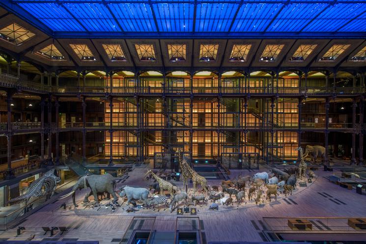 Muséum National d’Histoire Naturelle