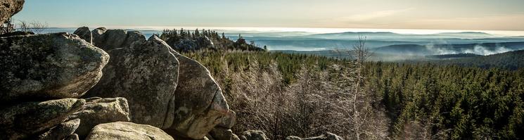 Vue sur le massif de la Harz