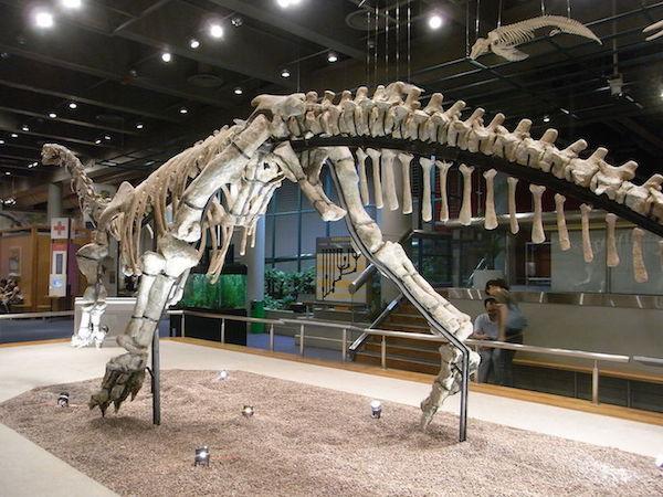 Musée des sciences Hong Kong sorties enfants familles pluie