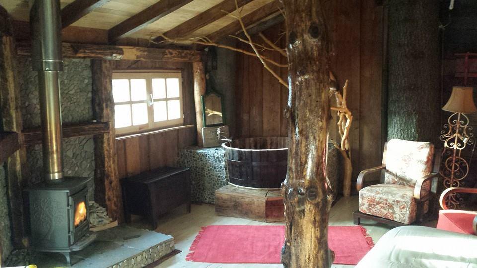 cabane-dans-arbres-Harmonie-predeal-roumanie