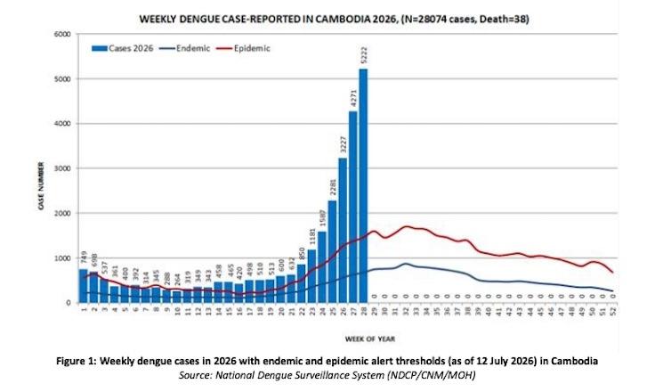 Hausse de 58 % des cas de dengue au Cambodge