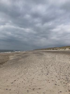 Plage du Danemark où l'on peut pratiquer la chasse à l'ambre