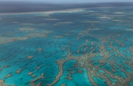 Barrière de corail en Australie