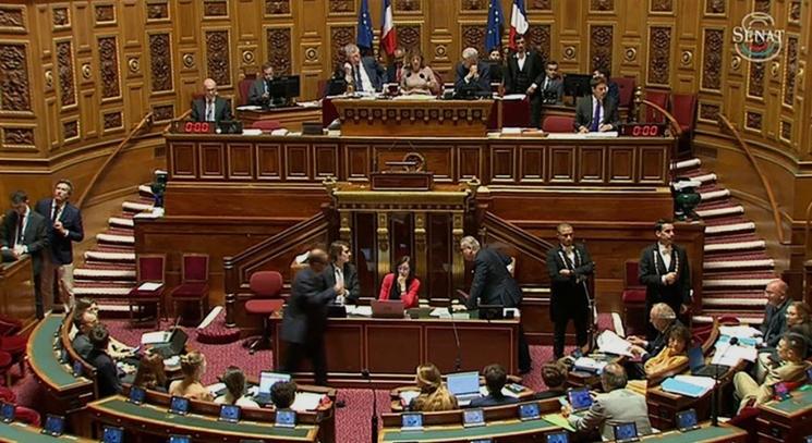 Sénat Argentine