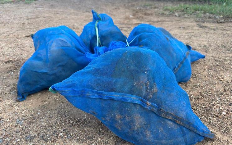 Les macaques ont été retrouvés dans ces sacs bleus