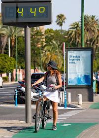 44º en la Avenida de la Palmera de Sevilla