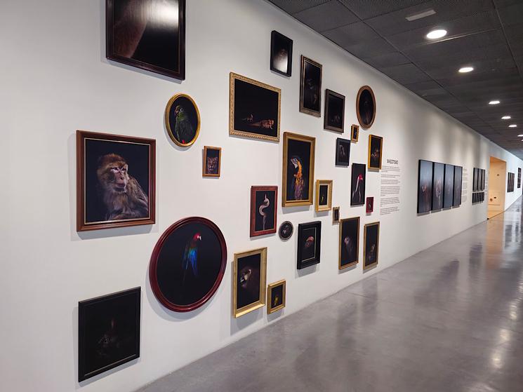 Hors Pistes Pompidou Malaga