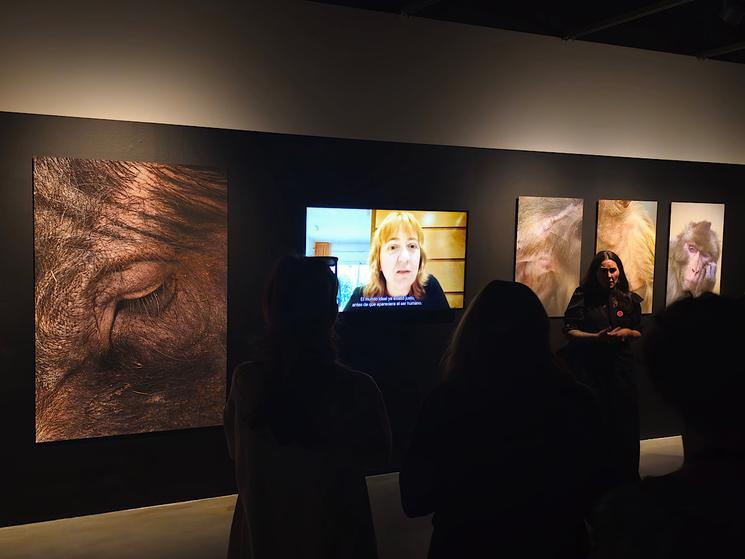 Hors-Pistes au Centre Pompidou de Malaga : «Le Règne Animal »