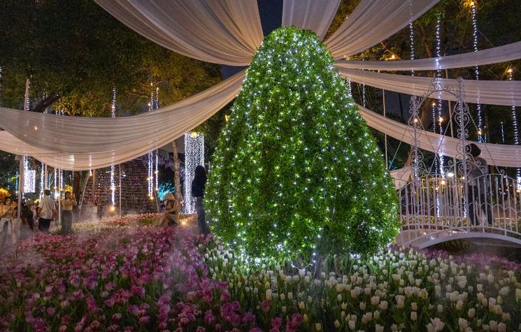 Festival fleurs Chiang Mai