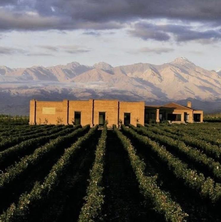 Vin Argentine