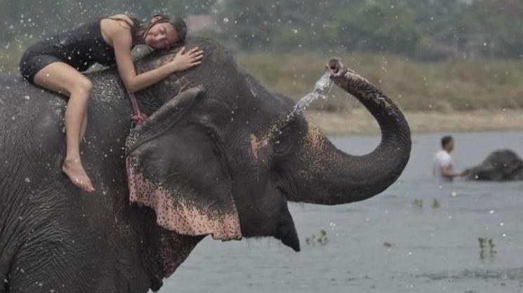 Jeune femme sur un éléphant
