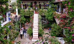 https://www.turismodecordoba.org/festival-de-los-patios-cordobeses