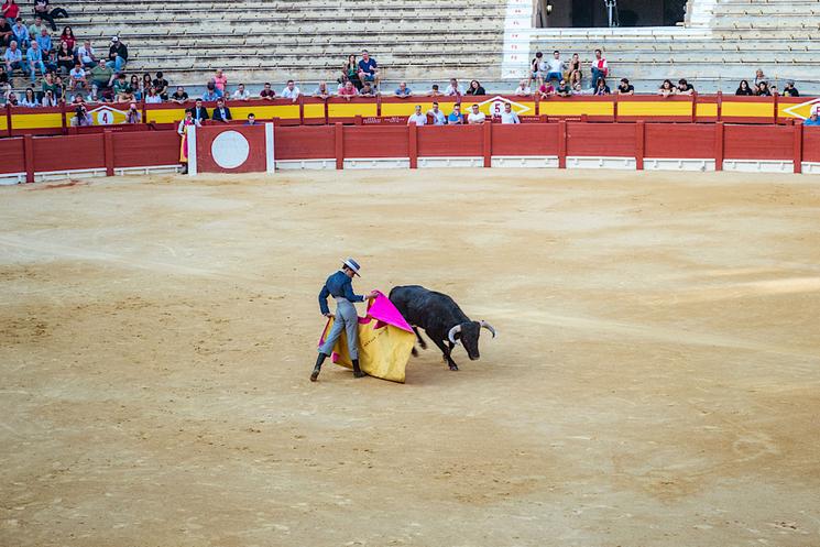 Les billets pour la novillada sont disponibles en ligne (réservations sur : plazatorossevilla.com — Libre de droits