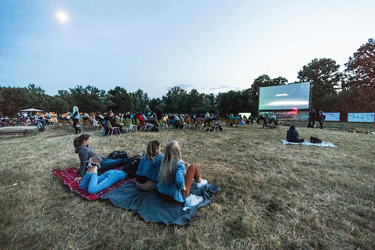 Cine al caac
