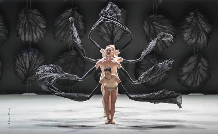 Malandain Ballet Biarritz