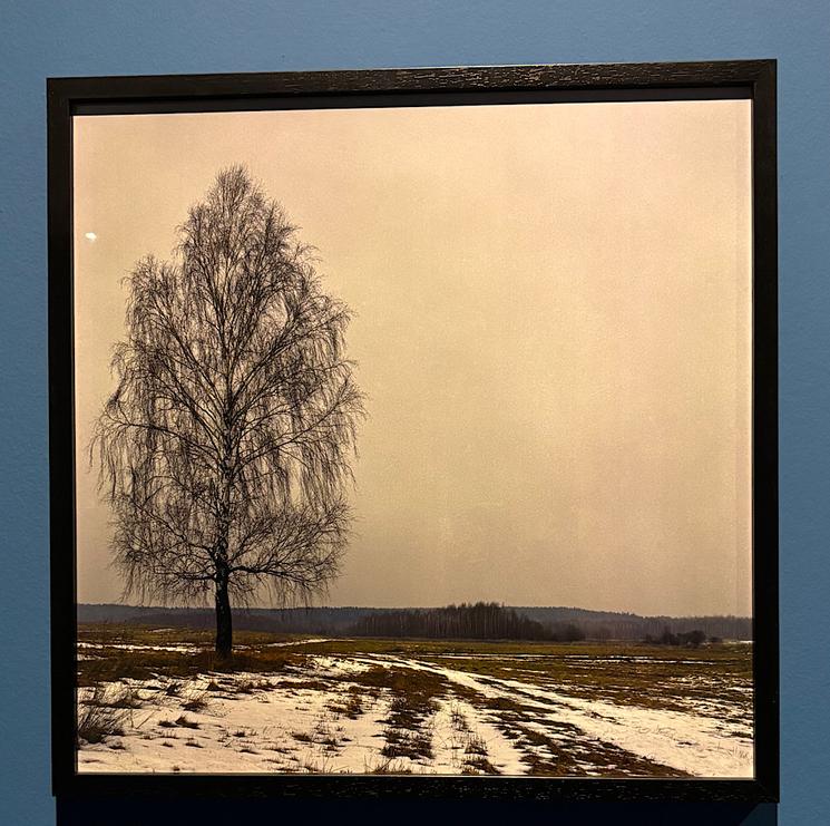Valery Katsuba. La última nieve. Oblast de Minsk, Biélorussie, 2010. (Lola Pogrzeba)