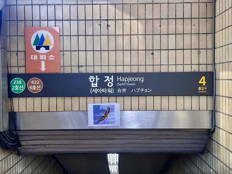 L'entrée de la sortie 4 du métro à Hapjeong, Séoul, a été placée pour effrayer les pigeons.
