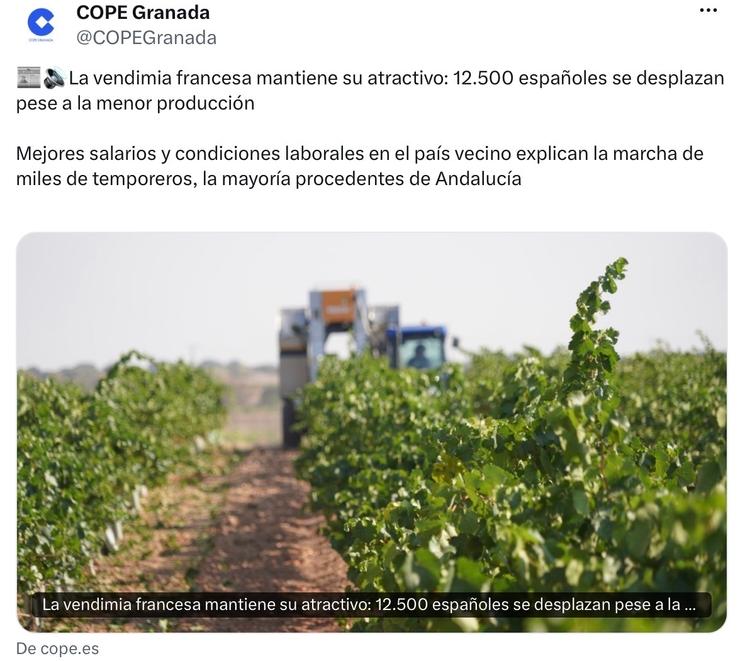 Andalous pour Vendanges en France