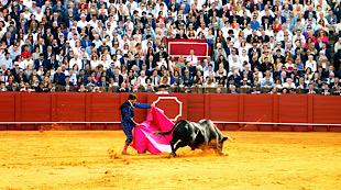 San Miguel;Sévilla