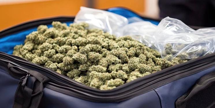 Valise cannabis