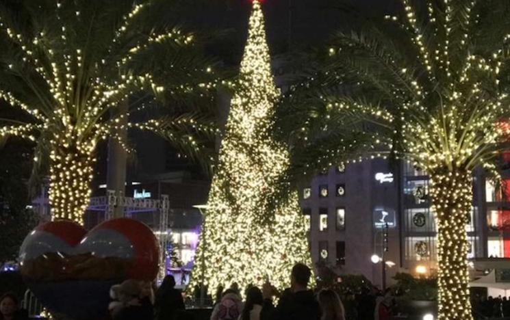 Un arbre de noêl illuminé