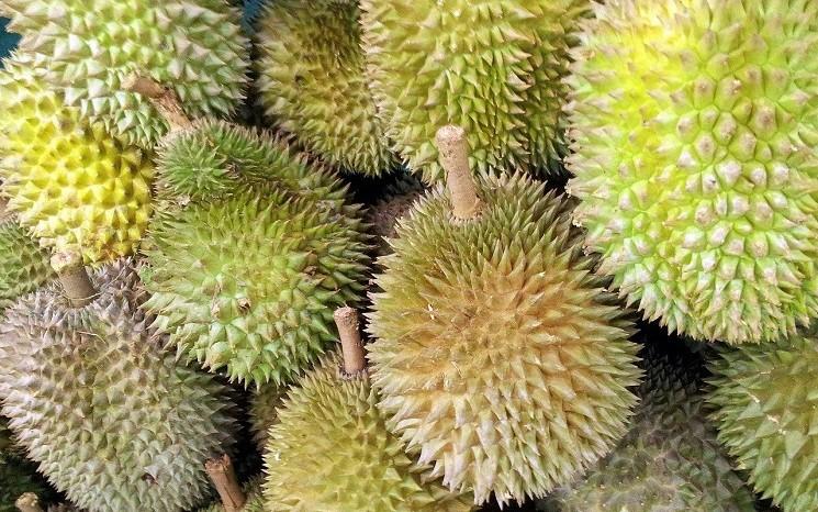 durian fruit