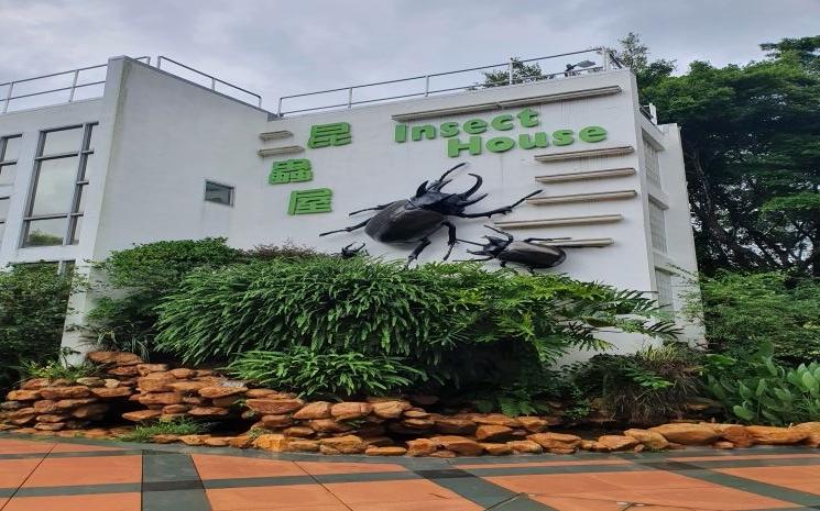 Insect House @ Adeline Puget