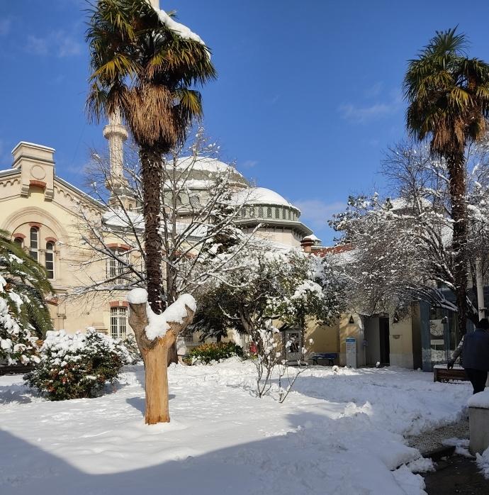 Institut français neige