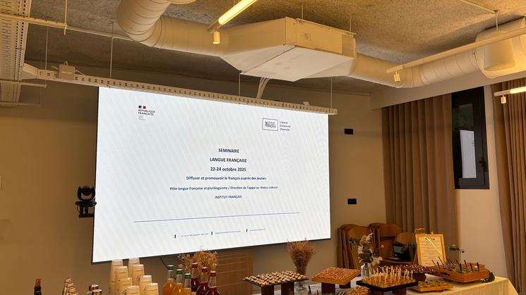 Séminaire de la langue française à l'institut français