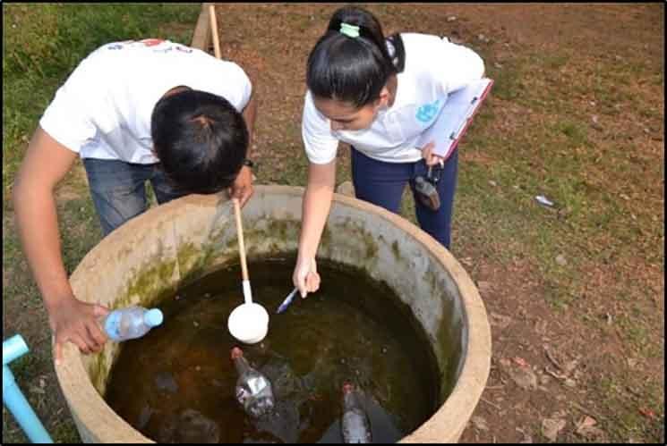 Inventaire des principaux sites de reproduction dans et autour des écoles
