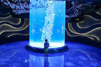Jakarta_aquarium_