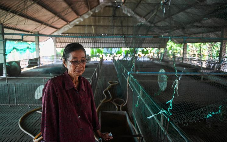 Une eleveuse de porc thailandaise dans sa pocherie vide