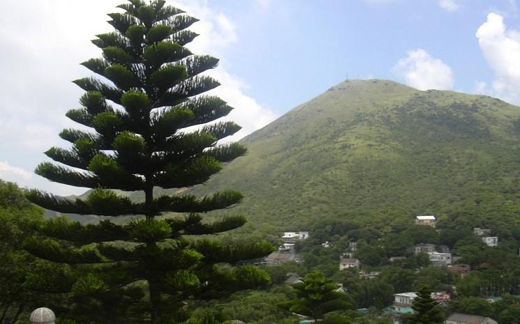méditation retraite vipassana hong kong