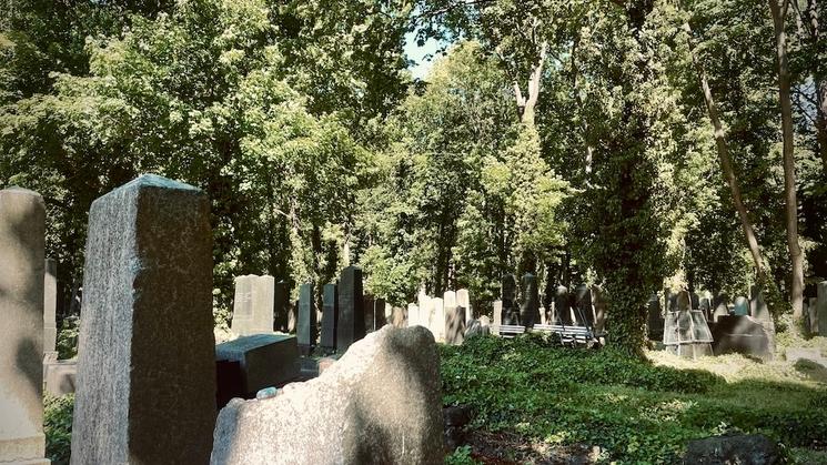 Jüdischer Friedhof Schönhauser Allee