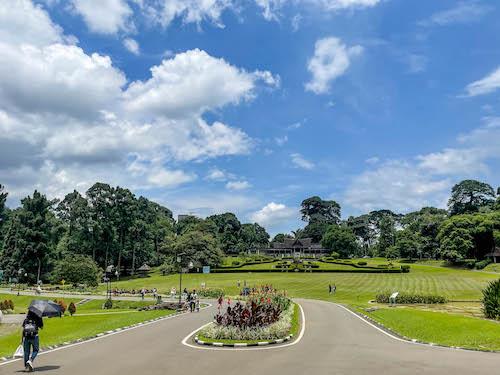 Kebun raya jardin botanique Bogor