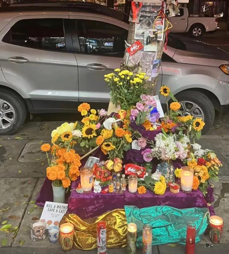 Hommage au chat KitKat tué par une voiture autonome