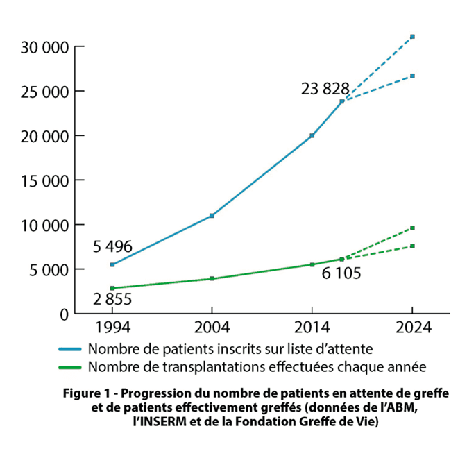 L'abime se creuse entre les patients sur liste d'attente et les greffés