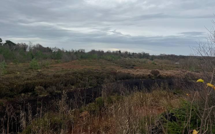 L'avenir des tourbières en Irlande