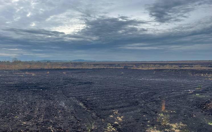 L'avenir des tourbières en Irlande