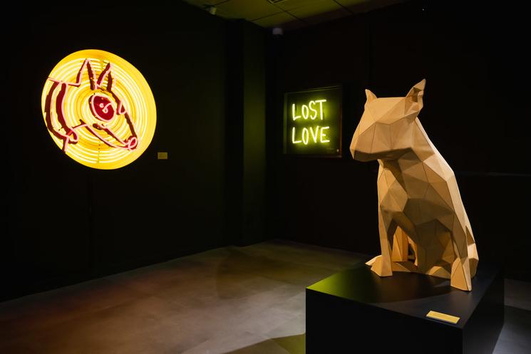 lost dog a singapour