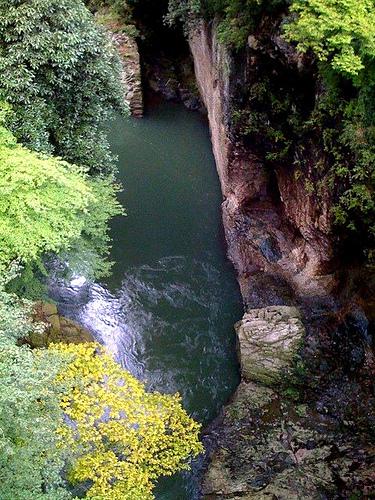 La beauté du site de saruhashi