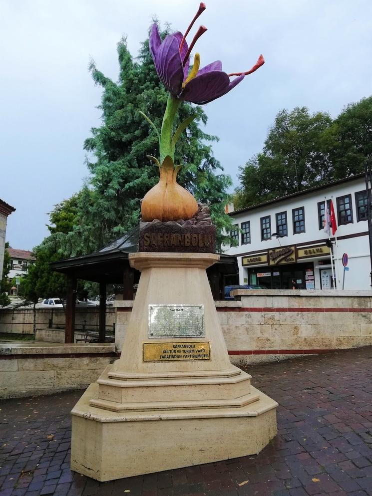 La fleur de Crocus Sativus, symbole de Safranbolu
